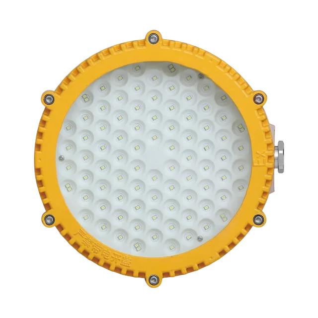 Sunjoylight SJFB804 — luminaire LED antidéflagrant, GB 3836 Ex d, IP65, 30W–50W
